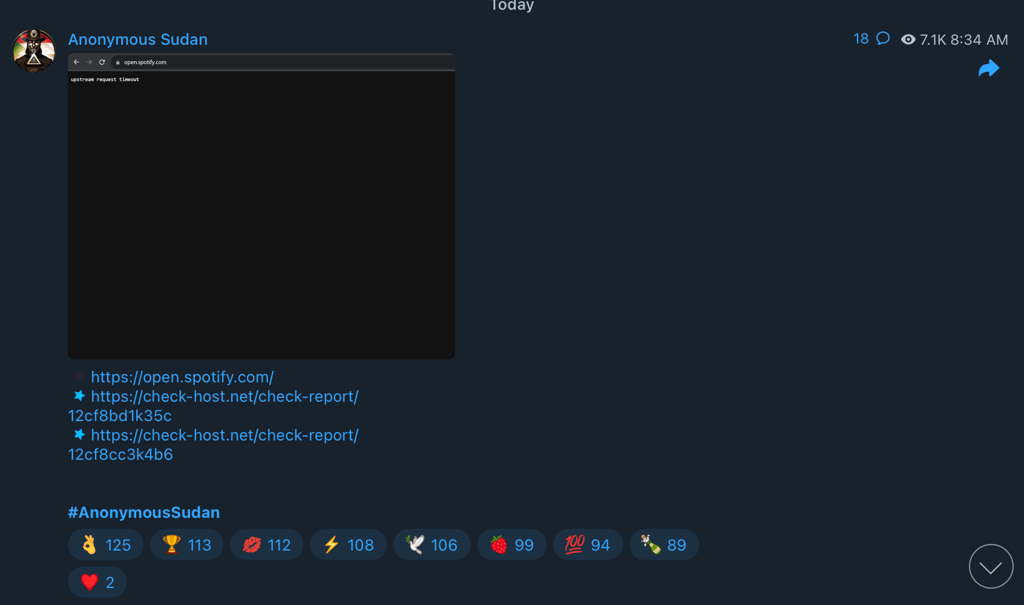 spotify down anonymous sudan