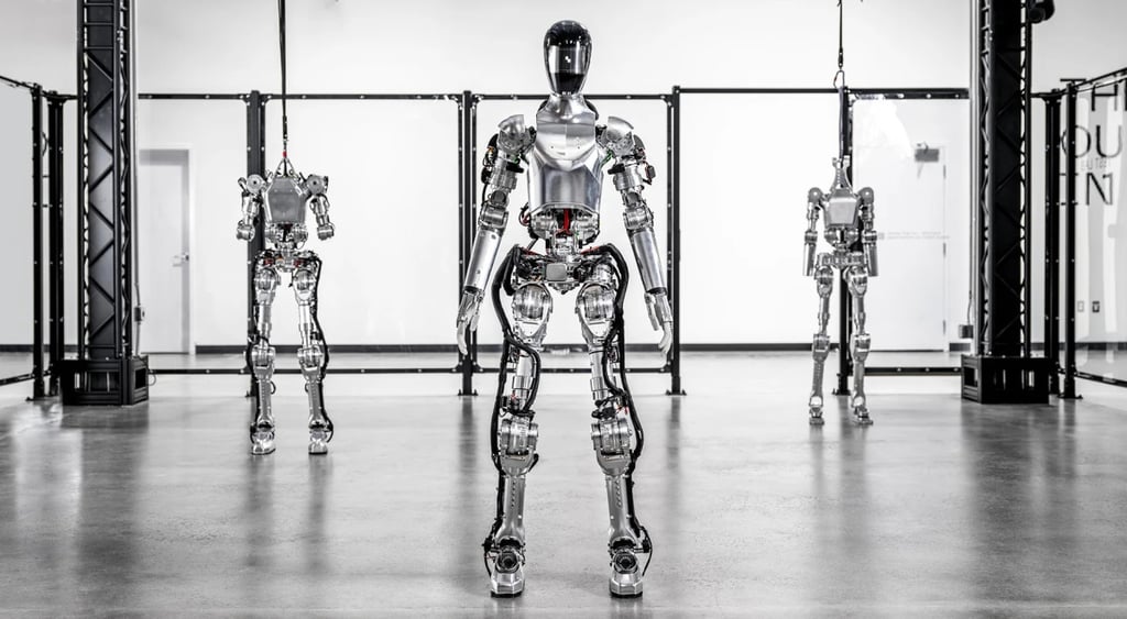 Humanoid robot startup