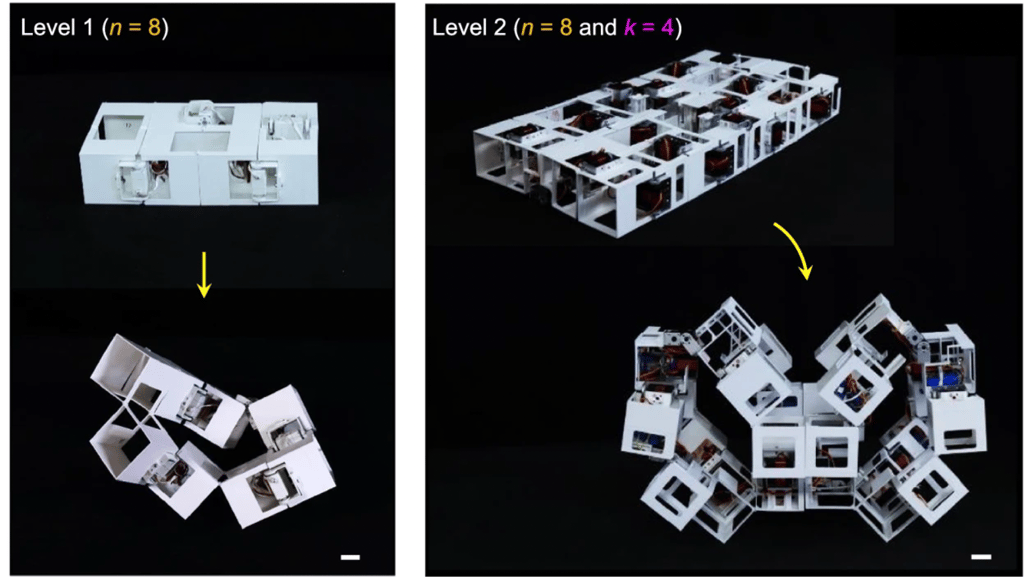 origami robot
