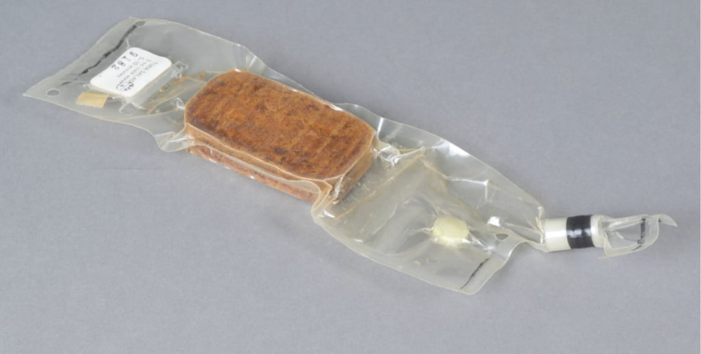 Space food
