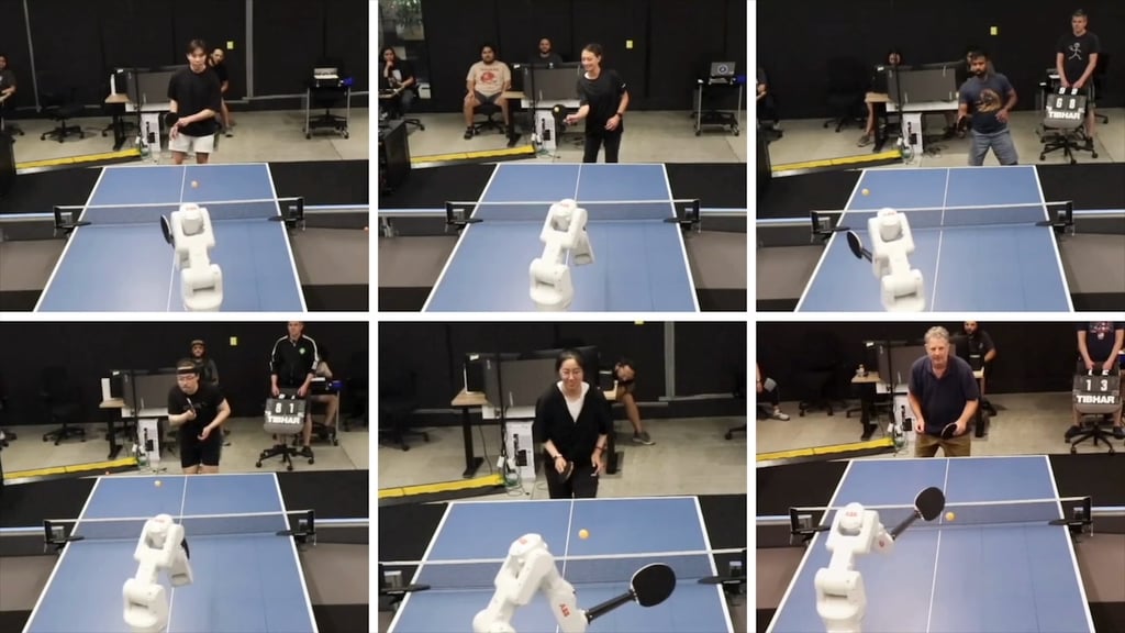 Robot plays table tennis