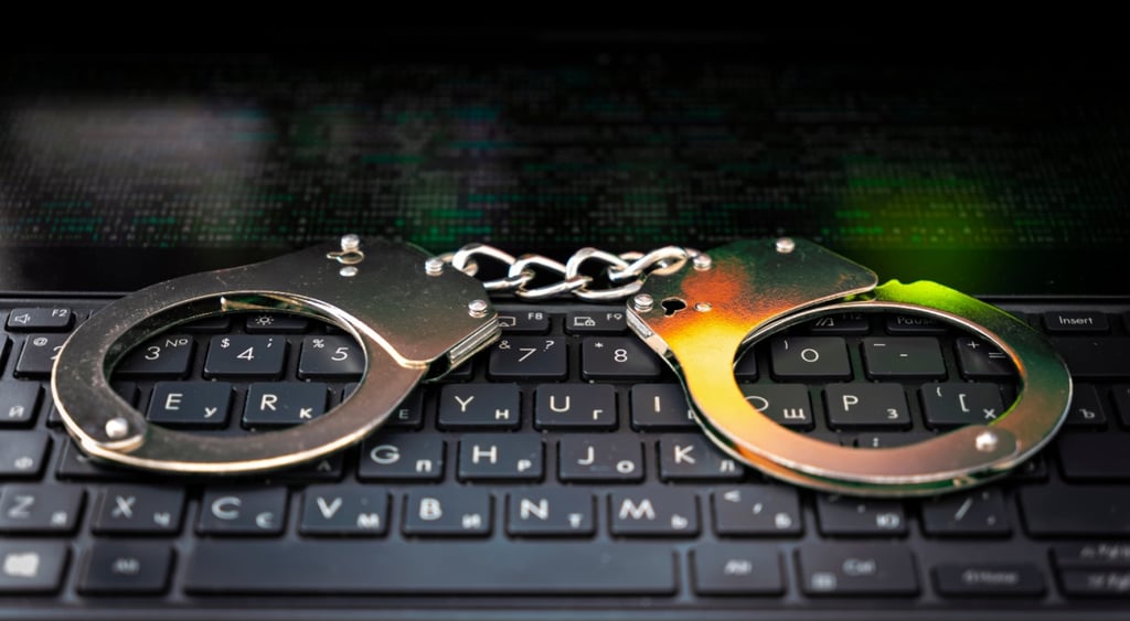 computer crime, justice, arrest