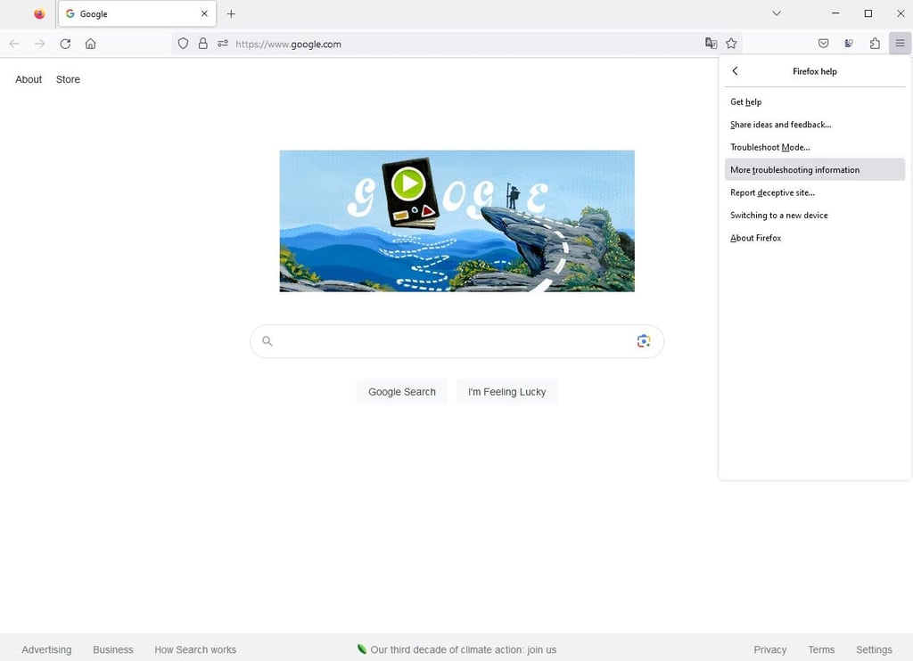 Troubleshooting information on Firefox