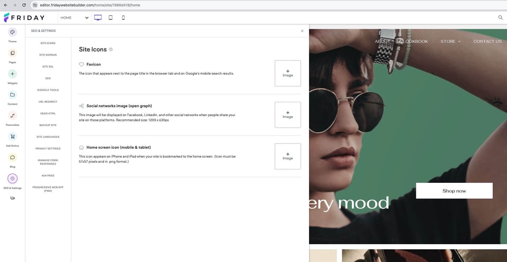 friday seo settings