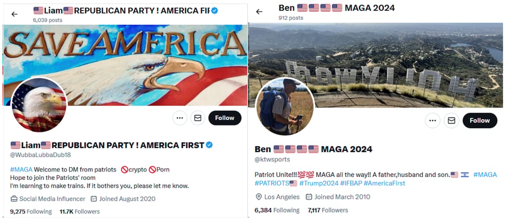 Fake Twitter accounts