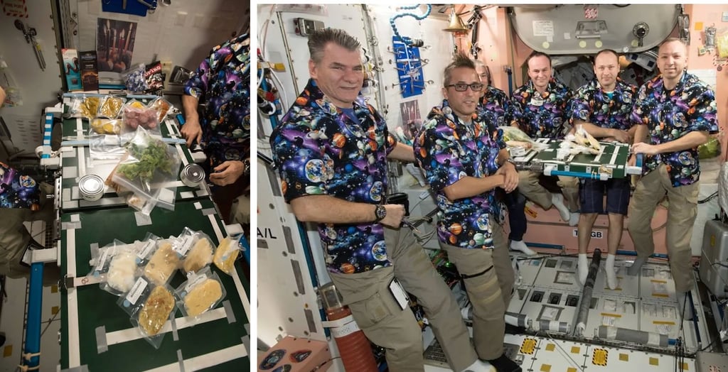 Thanksgiving NASA