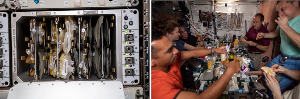 Thanksgiving NASA