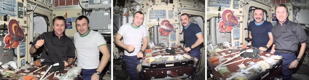 Thanksgiving NASA