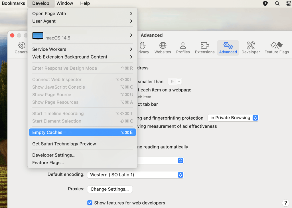 Safari caches menu