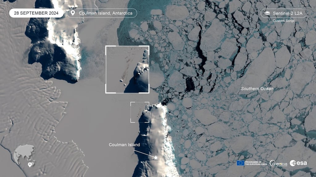 Monitoring penguins from space in Antarctica