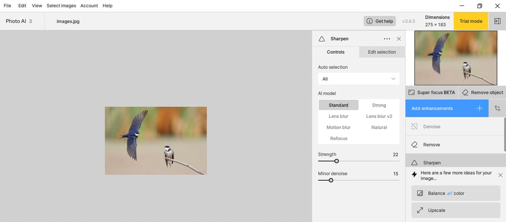 Photo AI photo adjustments