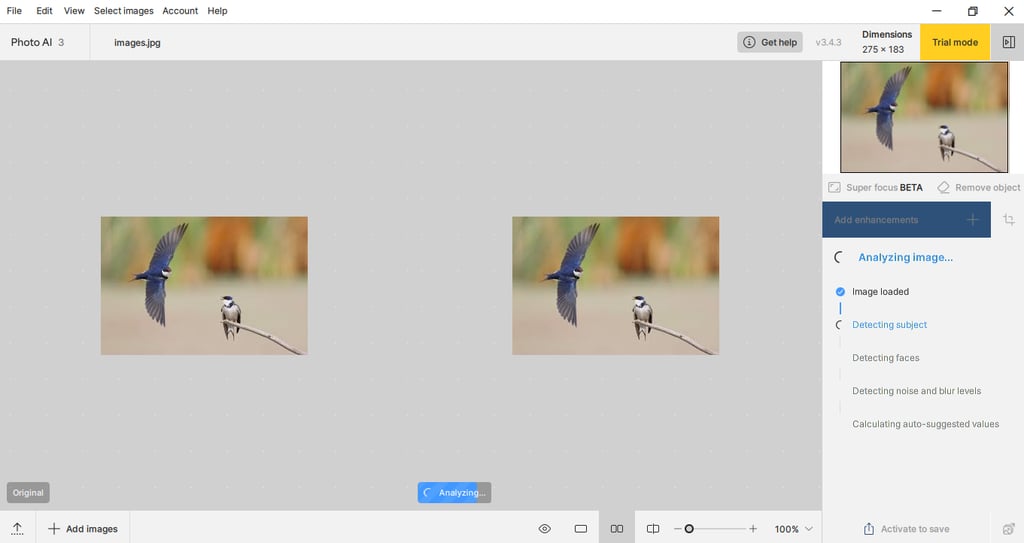 Photo AI analyzing image