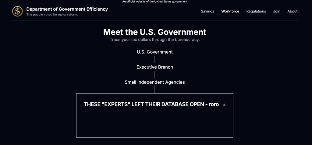 Doge.gov hack