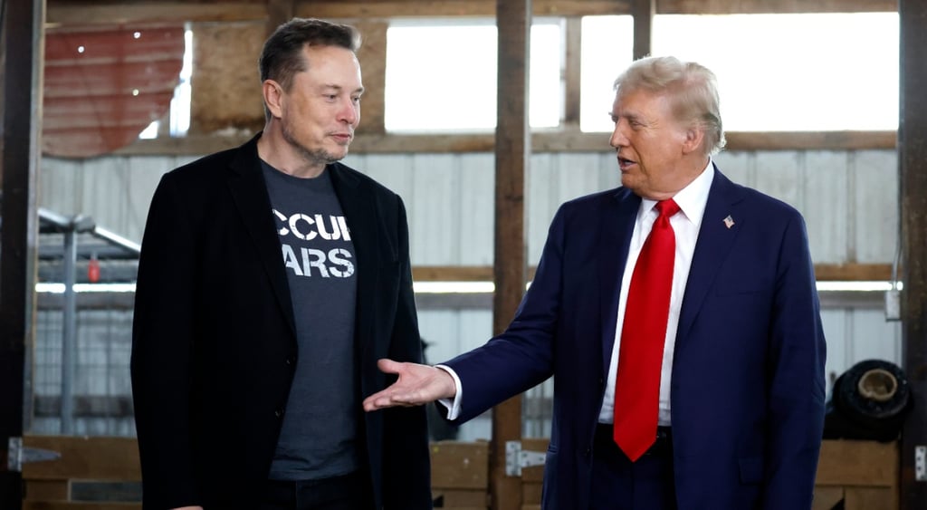 Elon Musk and Domald Trump