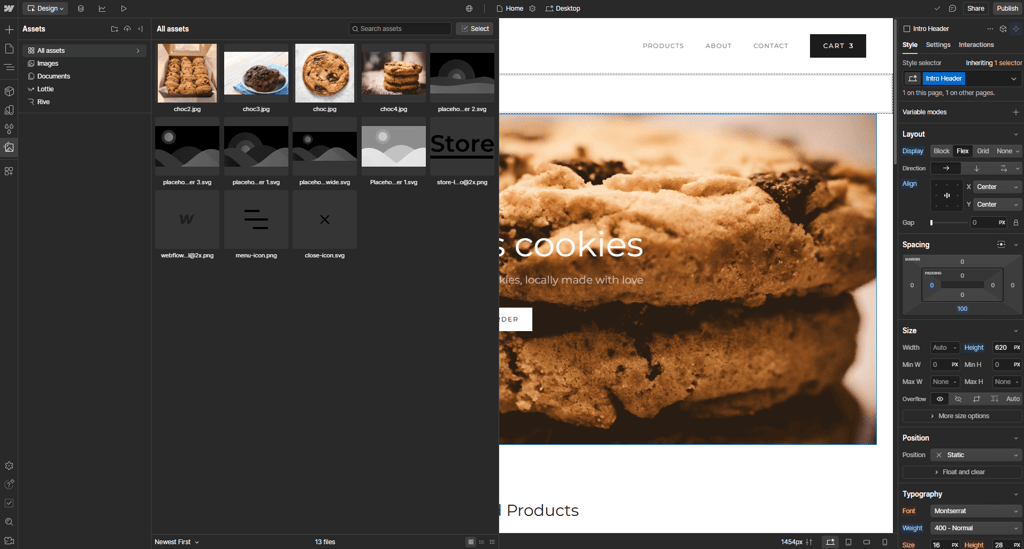 webflow-assets