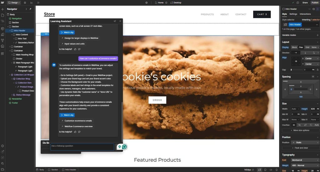 webflow-learning-assistant