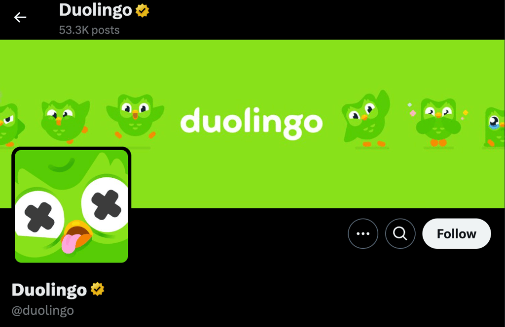 duolingo-screenshot-x