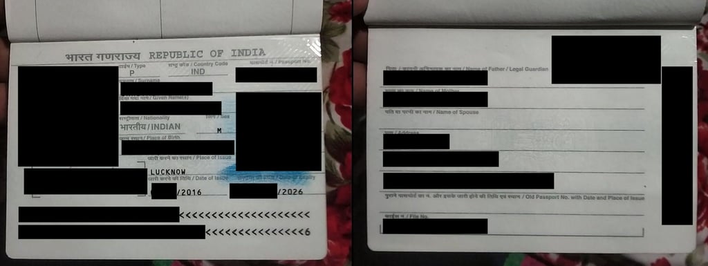 Vivifi data leak