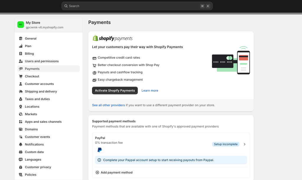 Shopify payments dashboard