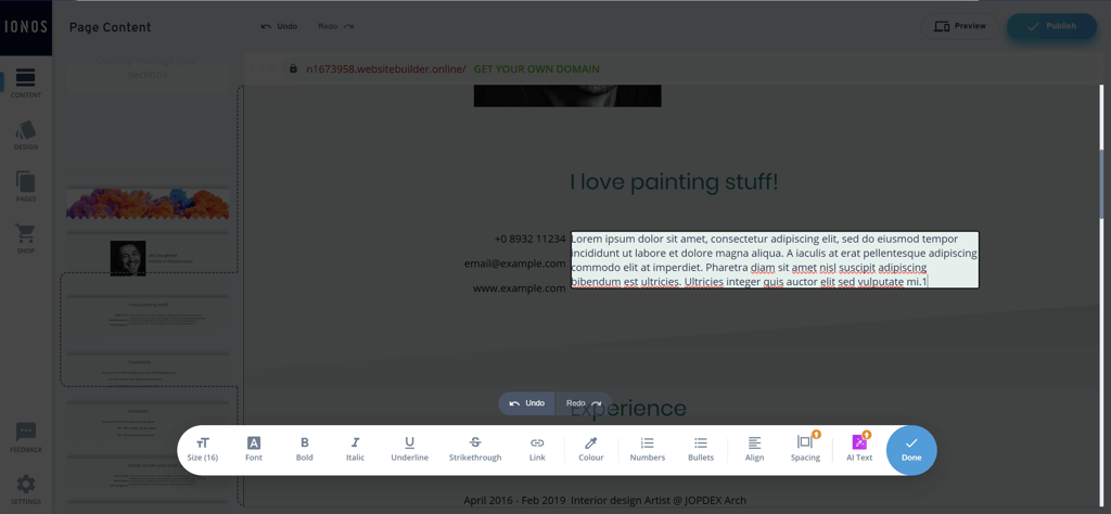IONOS website editor and options