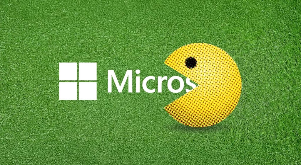 Microsoft, bug