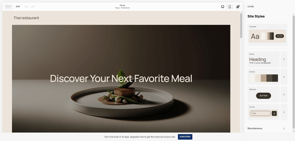 Squarespace website styles and color palettes