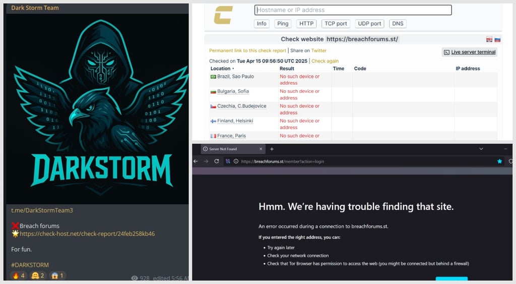 BreachForums Dark Storm DDoS attack