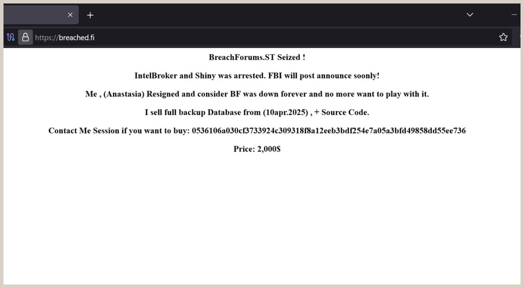 BreachForums owner Anastasia gives up