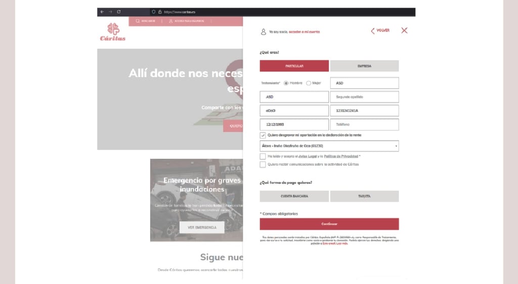 Caritas donor page