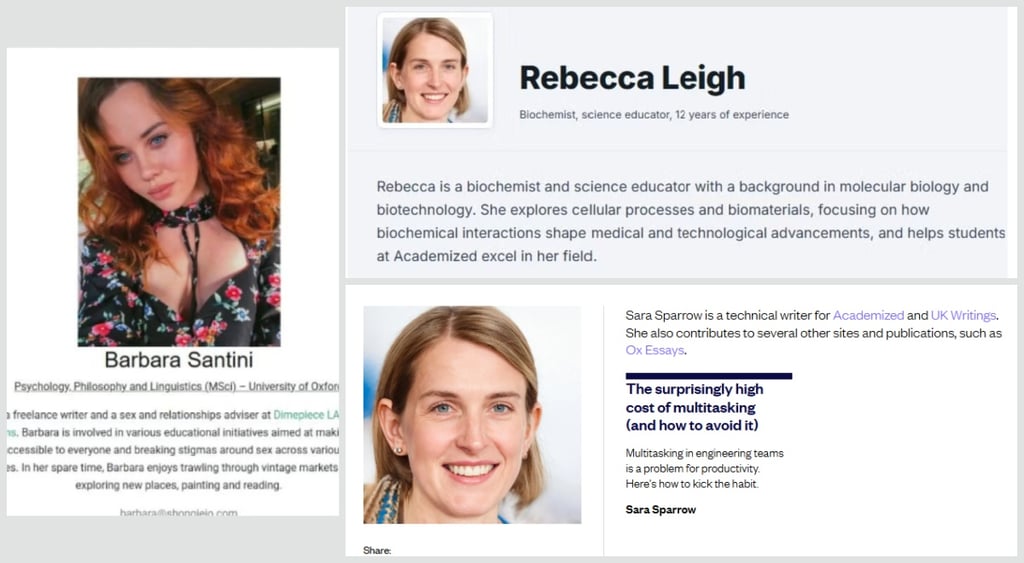 Fake AI experts