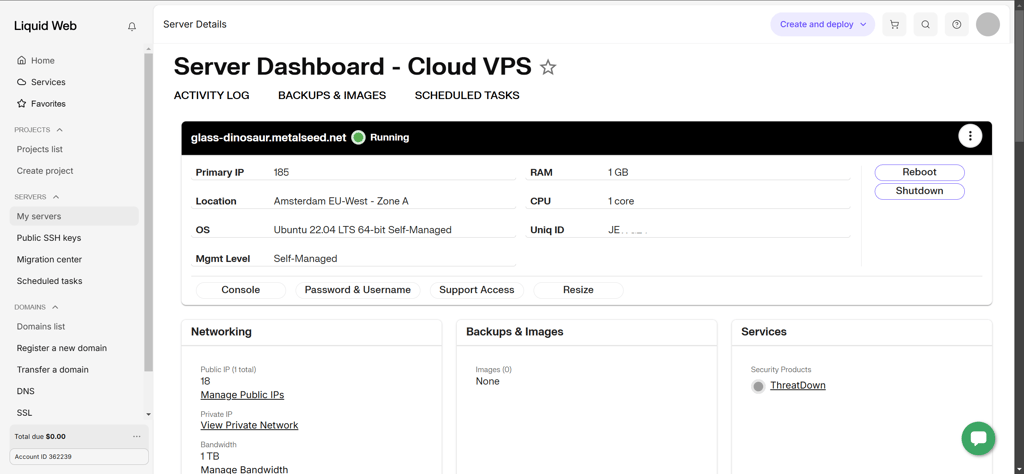 Liquid Web VPS dashboard