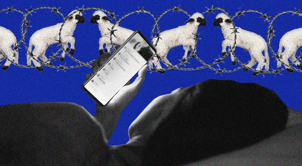 Insomnia, counting sheeps, screen time
