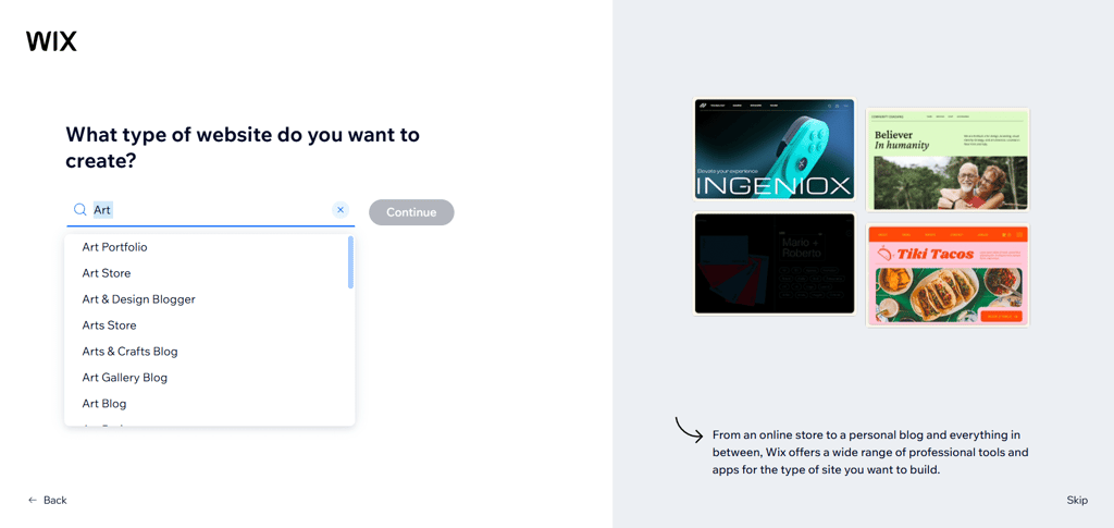 Selecting a website type