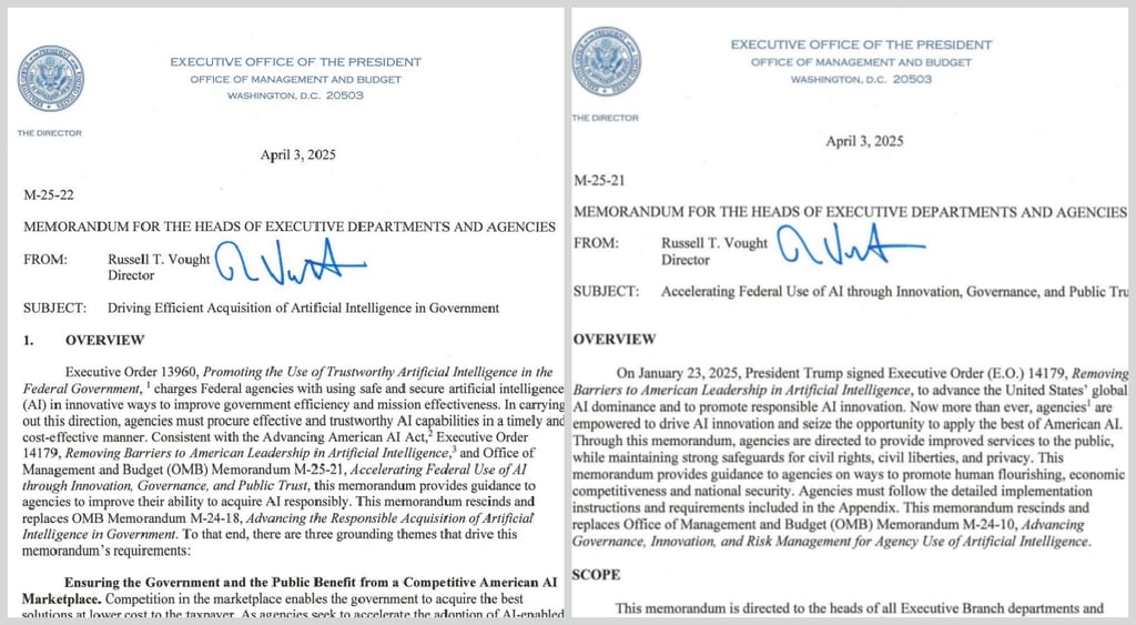 White House federal agencies AI adoption