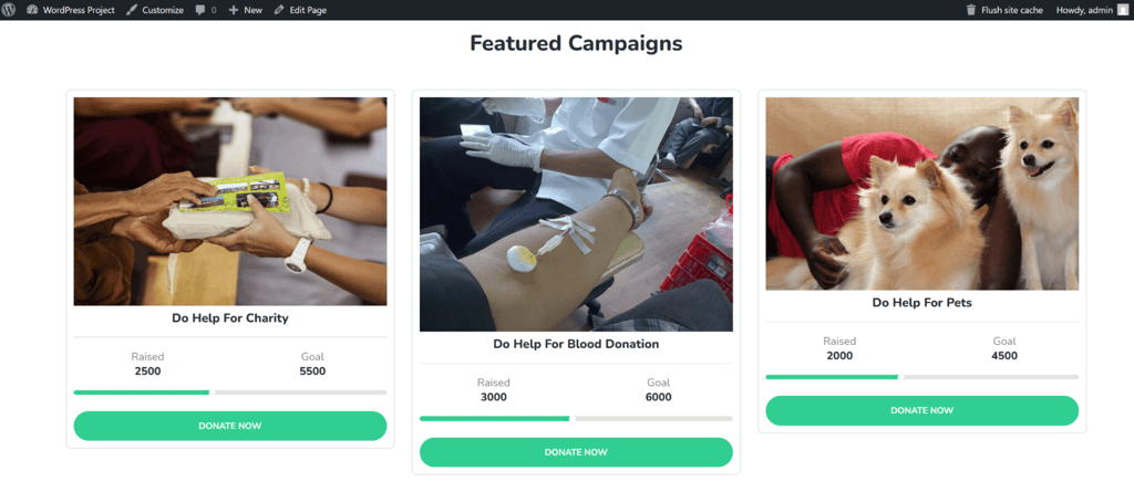 fundraising site on ionos