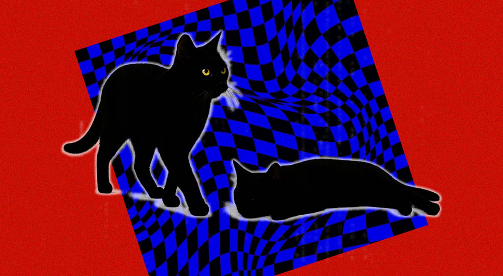 Schrodinger's cat, quantum computing, quantum physics