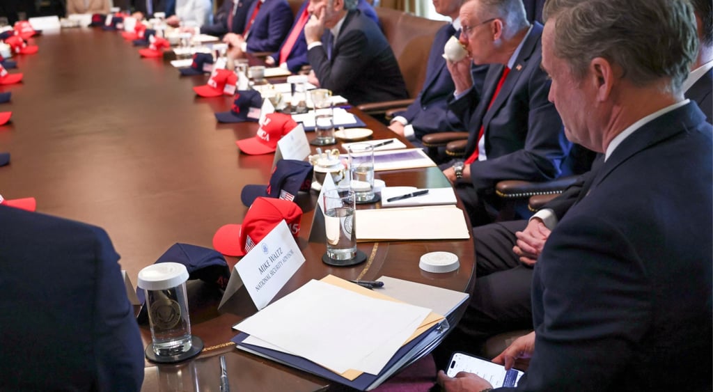 Mike Waltz attends a cabinet meeting