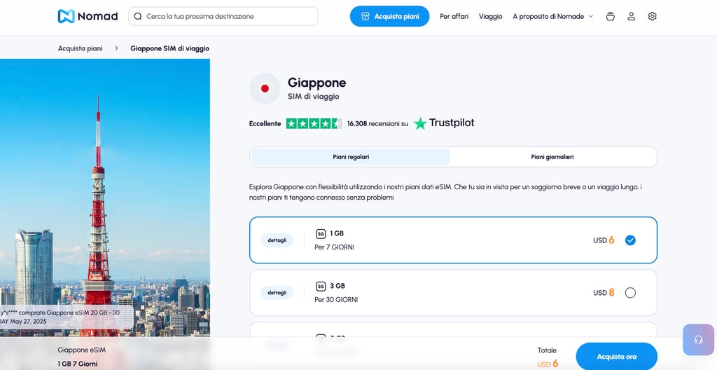 IT Nomad pricing for Japan