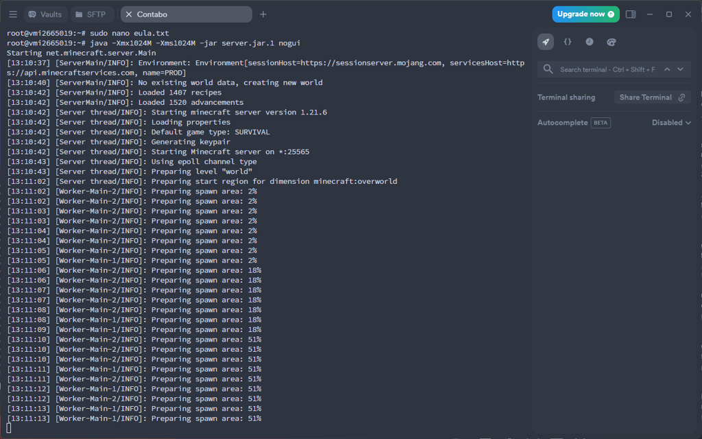 Contabo generating a Minecraft world