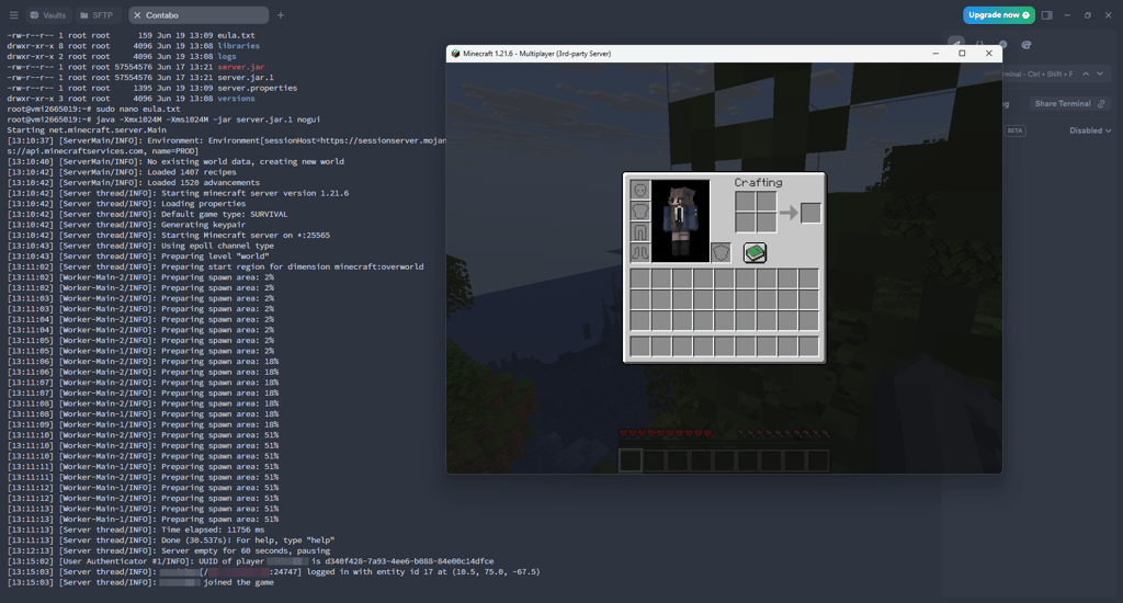Logged into a Minecraft server on Contabo