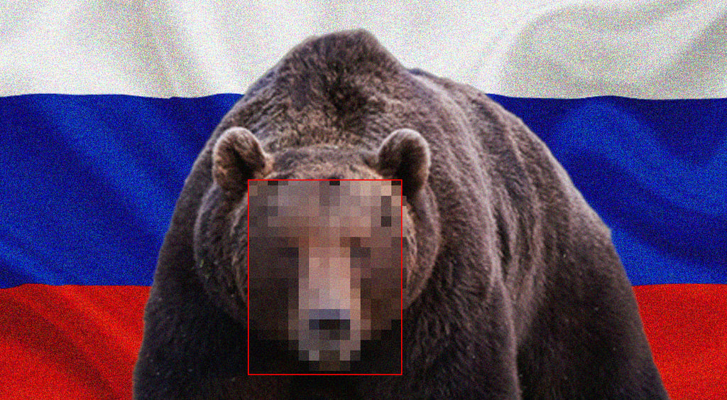 hidden-bear-hackers