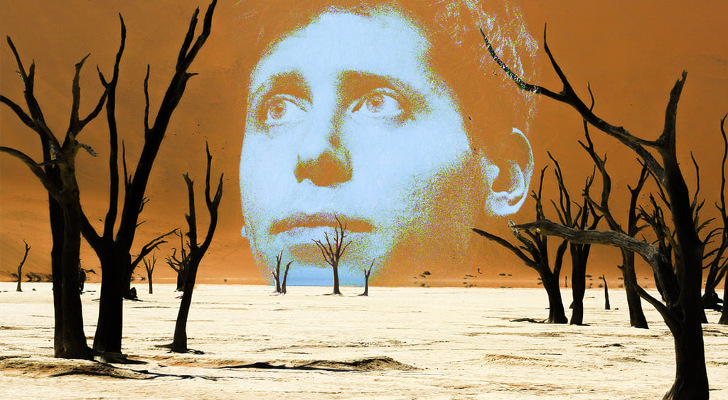Sam Altman's head looking lost in a wasteland with barren trees.
