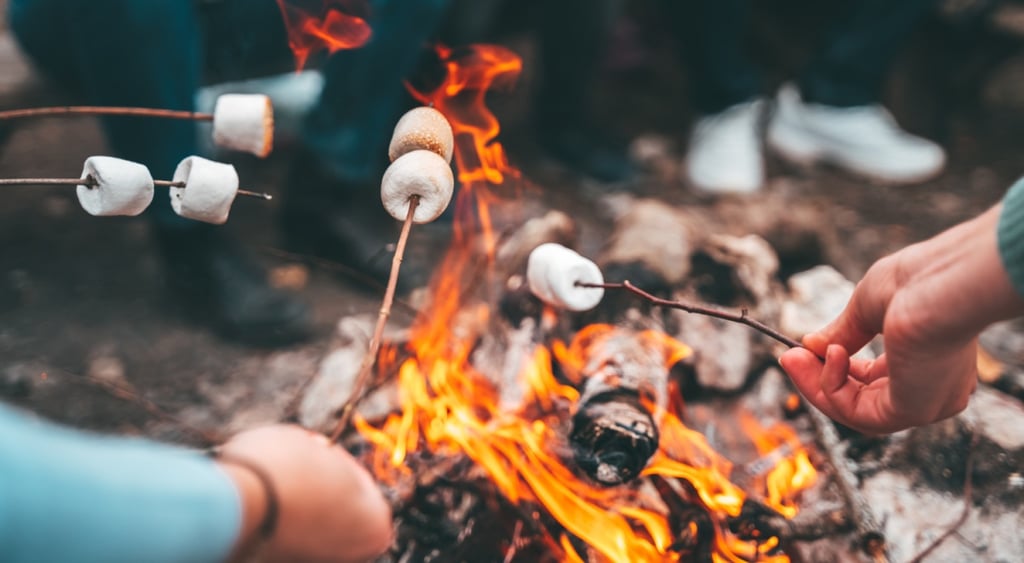 fireplace, 6 Marshmallow on sticks, baby blue sleeve