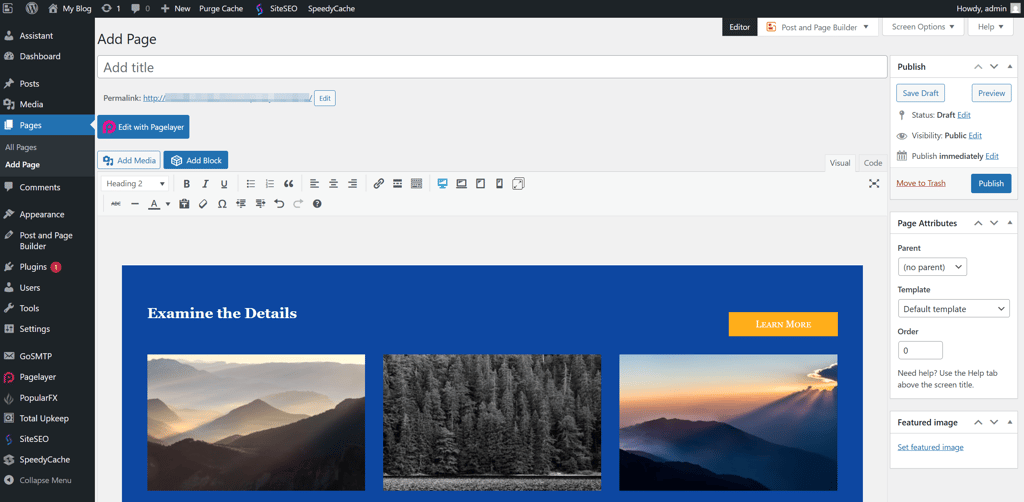 Boldgrid website editor interface