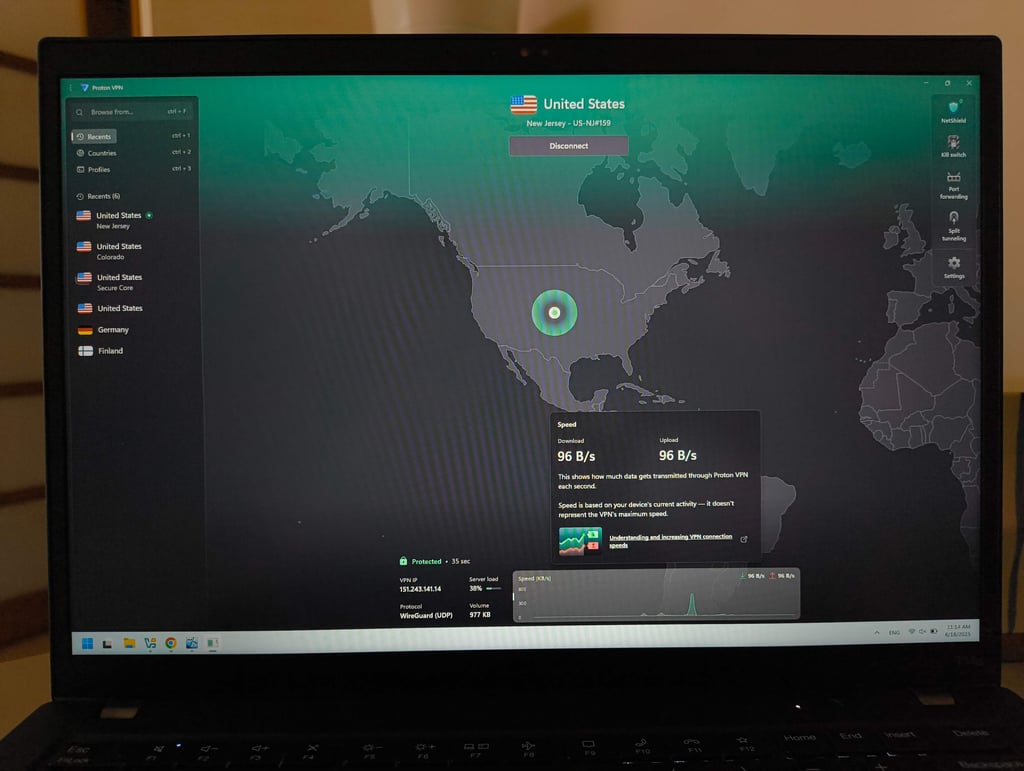 Proton VPN interface