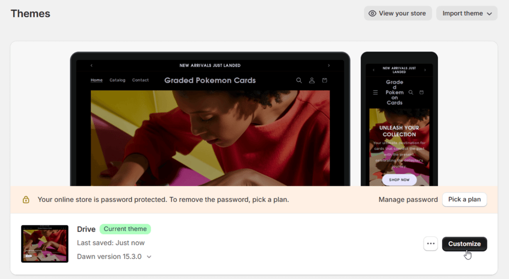 Shopify theme customization