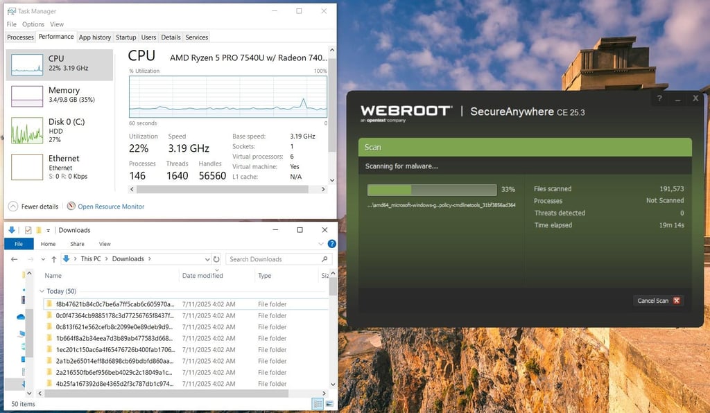 Webroot scanning settings