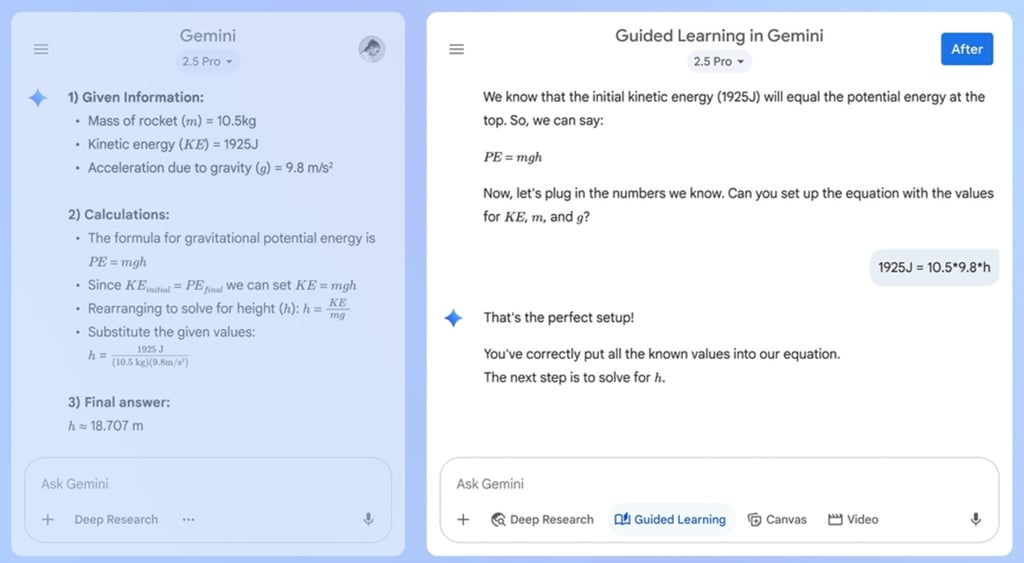 Gemini leraning mode