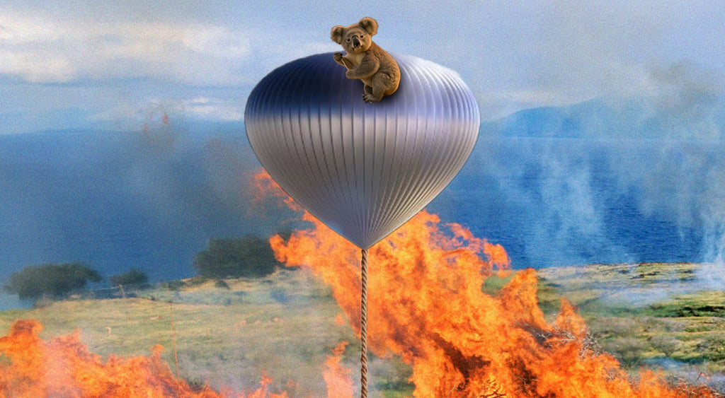 brown kolala on a grey surveillance balloon over orange flames
