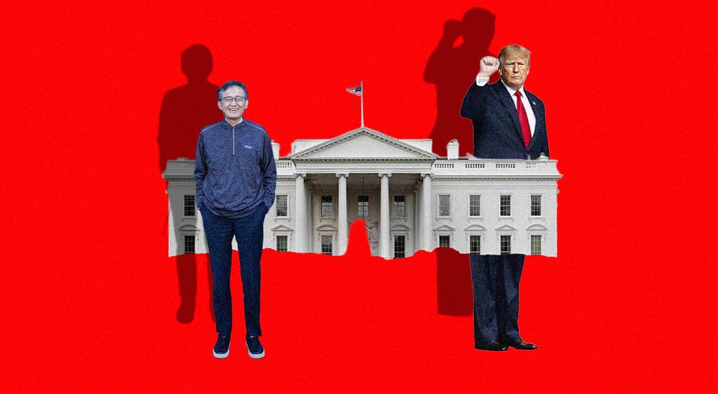 trump, white house, lip bu tan red background, US flag, shadows
